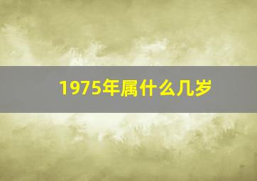 1975年属什么几岁