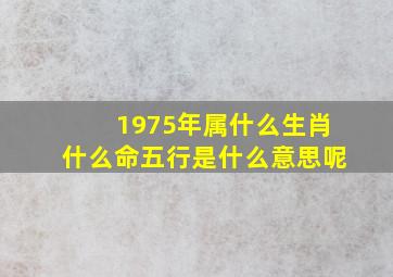 1975年属什么生肖什么命五行是什么意思呢