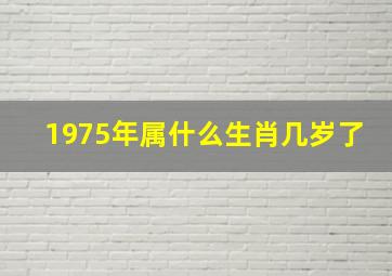 1975年属什么生肖几岁了