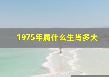 1975年属什么生肖多大