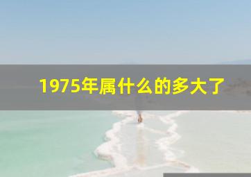 1975年属什么的多大了