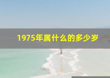 1975年属什么的多少岁