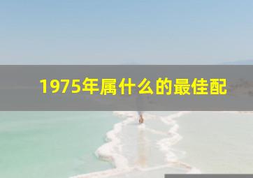 1975年属什么的最佳配