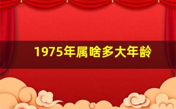 1975年属啥多大年龄