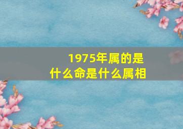 1975年属的是什么命是什么属相