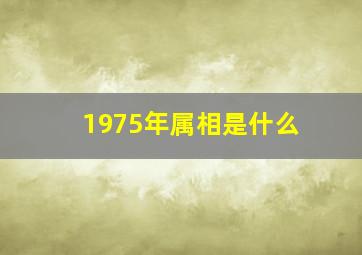 1975年属相是什么