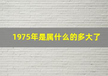 1975年是属什么的多大了