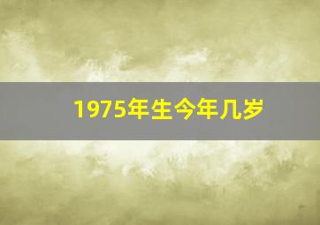 1975年生今年几岁