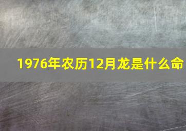 1976年农历12月龙是什么命