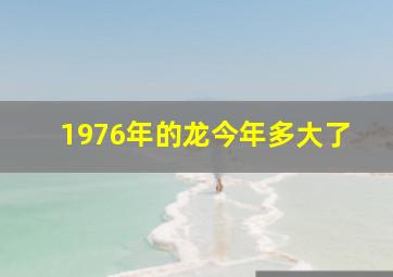 1976年的龙今年多大了