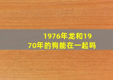 1976年龙和1970年的狗能在一起吗