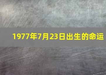 1977年7月23日出生的命运