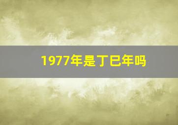 1977年是丁巳年吗