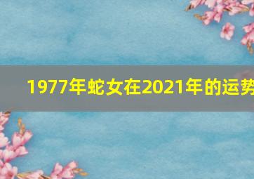 1977年蛇女在2021年的运势