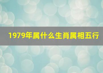 1979年属什么生肖属相五行