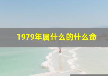 1979年属什么的什么命