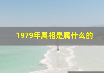 1979年属相是属什么的