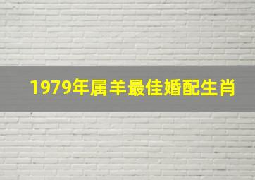 1979年属羊最佳婚配生肖