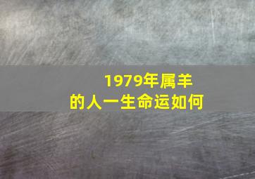 1979年属羊的人一生命运如何