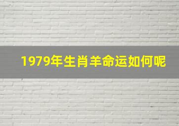 1979年生肖羊命运如何呢