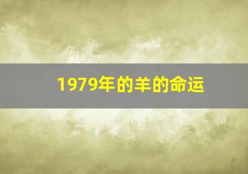 1979年的羊的命运