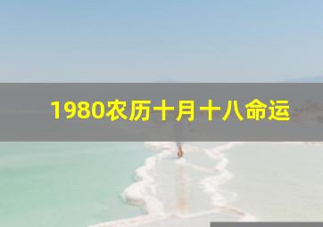 1980农历十月十八命运