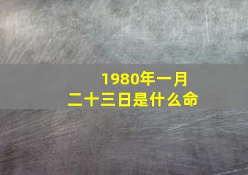 1980年一月二十三日是什么命