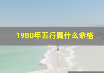 1980年五行属什么命格