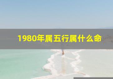 1980年属五行属什么命