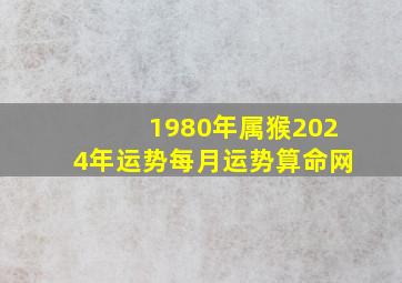 1980年属猴2024年运势每月运势算命网