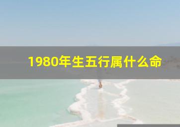 1980年生五行属什么命