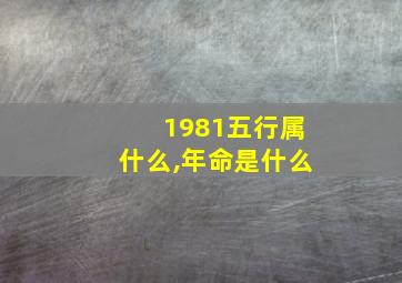 1981五行属什么,年命是什么