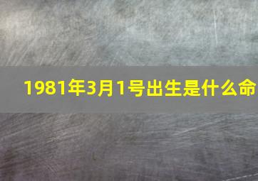 1981年3月1号出生是什么命