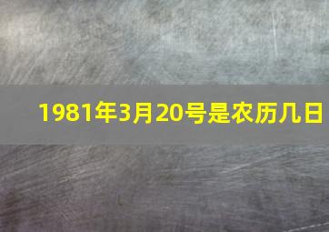 1981年3月20号是农历几日