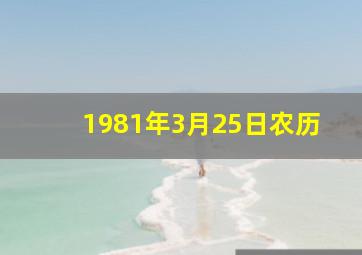 1981年3月25日农历