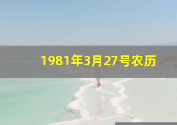 1981年3月27号农历