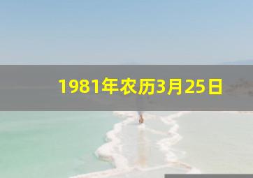 1981年农历3月25日