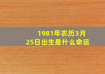 1981年农历3月25日出生是什么命运