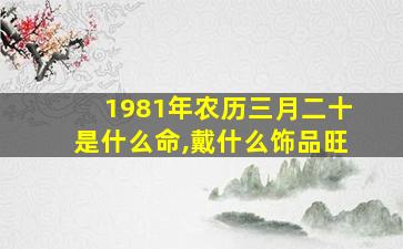 1981年农历三月二十是什么命,戴什么饰品旺