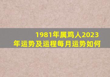 1981年属鸡人2023年运势及运程每月运势如何