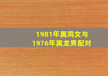 1981年属鸡女与1976年属龙男配对