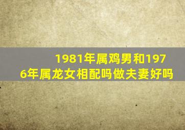 1981年属鸡男和1976年属龙女相配吗做夫妻好吗