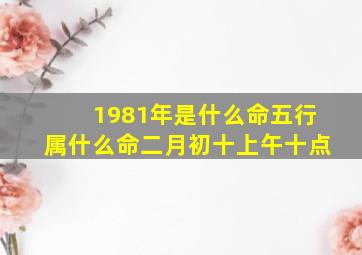 1981年是什么命五行属什么命二月初十上午十点