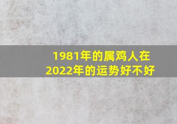 1981年的属鸡人在2022年的运势好不好