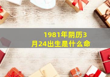 1981年阴历3月24出生是什么命