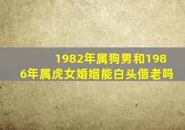 1982年属狗男和1986年属虎女婚姻能白头偕老吗