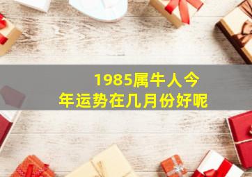 1985属牛人今年运势在几月份好呢