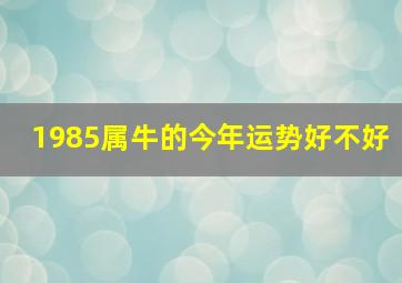 1985属牛的今年运势好不好