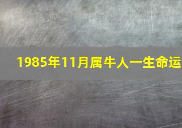 1985年11月属牛人一生命运