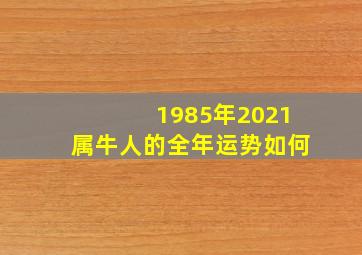 1985年2021属牛人的全年运势如何